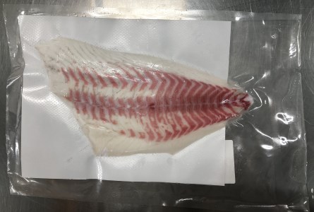 異次元の鮮度!宇和海産「超冷薫」冷凍真鯛 皮なしフィーレ(5kg)
