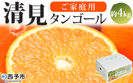 [愛媛県西予市産 清見タンゴール ご家庭用 約4kg] 訳あり ワケアリ 果物 フルーツ みかん ミカン 蜜柑 オレンジ きよみ キヨミ 柑橘類 食べて応援 旬 特産品 宇都宮物産 愛媛県 西予市[常温]『2025年3月中旬〜5月上旬迄に順次出荷予定』UUB0009