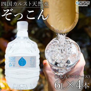 四国カルスト天然水ぞっこん(6L×2本)×2ケース 計4本