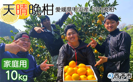 Vӊi͓ӊj10kg QlY  ƒp ʕ k ݂ a O[vt[c Hׂĉ Yi Q \sy퉷zw2026N4{`5{ɏoח\xAAN0021