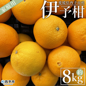 [愛媛県西予市産 伊予柑 家庭用 約8kg] 訳あり ワケアリ 果物 くだもの ミカン 柑橘 フルーツ いよかん イヨカン 特産品 段畑みかん 愛媛県 西予市[常温]『2025年1月中旬〜1月下旬までに順次出荷予定』ADM0006