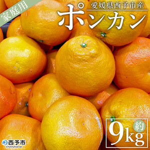 [愛媛県西予市産 ポンカン 約9kg 家庭用] 訳あり ワケアリ 果物 くだもの ミカン 蜜柑 柑橘 ぽんかん おいしい フルーツ サイズ不揃い ご自宅用 果実 果肉 ジューシー 特産品 段畑みかん 愛媛県 西予市[常温]『2025年1月中旬〜2月中旬迄に順次出荷予定』ADM0008