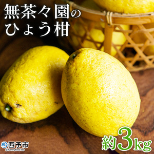 先行予約 [無茶々園のひょう柑 約3kg] 果物 みかん ミカン 蜜柑 柑橘 フルーツ ひょうかん 弓削瓢柑 特産品 愛媛県 西予市[常温]『2025年4月上旬〜5月上旬迄に順次出荷予定』AMC0009