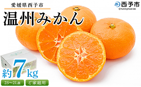 先行予約受付 [愛媛県西予市産 温州みかん ご家庭用 約7kg] 訳あり わけあり 果物 フルーツ みかん ミカン 蜜柑 甘い あまい おいしい 美味しい オレンジ 柑橘 食べて応援 特産品 愛媛県 西予市[常温]『2024年10月中旬〜2025年1月中旬迄に順次出荷予定』UUB0015