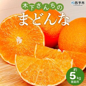 紅まどんなと同品種![木下さんちのまどんな 約5kg 家庭用] 柑橘類 みかん ミカン 果物 くだもの フルーツ 不揃い 自宅用 愛媛果試第28号 特産品 産地直送 マドンナ 木下農園 西宇和 愛媛県 西予市[常温]『2025年12月上旬〜12月下旬迄に順次出荷予定』MKS0002