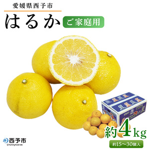 先行予約[愛媛県西予市産 はるか ご家庭用 約4kg]約15〜30個入 訳あり 果物 フルーツ みかん ミカン オレンジ 柑橘 食べて応援 特産品 愛媛県 西予市[常温]『2024年2月中旬〜4月下旬迄に順次出荷予定』UUB0017