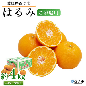 先行予約[愛媛県西予市産 はるみ ご家庭用 約4kg]約15〜30個入り 訳あり 果物 くだもの フルーツ みかん ミカン オレンジ 柑橘 期間限定 季節限定 食べて応援 特産品 愛媛県 西予市[常温]『2025年1月下旬〜3月中旬迄に順次出荷予定』UUB0018