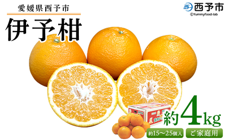 [愛媛県西予市産 伊予柑 ご家庭用 約4kg] 約15〜25個入り 訳あり 果物 くだもの フルーツ みかん ミカン オレンジ 柑橘 イヨカン いよかん 食べて応援 特産品 宇都宮物産 愛媛県 西予市[常温]『2025年1月中旬〜2月下旬迄に順次出荷予定』UUB0003