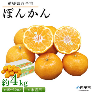 先行予約[愛媛県西予市産 ぽんかん ご家庭用 約4kg]約15〜30個入り 訳あり 果物 くだもの フルーツ みかん ミカン オレンジ ポンカン 柑橘 特産品 愛媛県 西予市[常温]『2025年1月中旬〜2月下旬迄に順次出荷予定』UUB0004