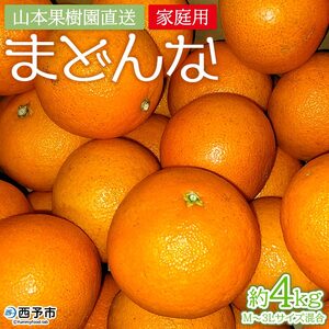 ＜まどんな 約4kg（家庭用・M～3Lサイズ混合）＞果物 オレンジ フルーツ 柑橘 みかん 愛果28号 マドンナ 自宅用 食べて応援 特産品 産地直送 山本果樹園 西宇和 三瓶産 愛媛県 西予市【常温】『2024年12月上旬～12月下旬迄に順次出荷予定』MYK0003