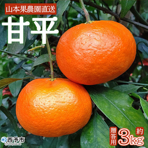 山本果樹園直送 甘平 約3kg(贈答用)MYK0005