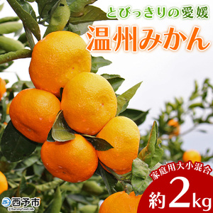 とびっきりの愛媛片山果樹園　温州みかん３kg（家庭用大小混合）