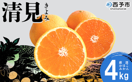 [おはこやがつくる 清見 約4kg(L〜3Lサイズ)] 果物 フルーツ 柑橘 清見タンゴール みかん 特産品 西宇和 愛媛県 西予市[常温]『2025年3月上旬から3月下旬迄に順次出荷予定』MOK0001