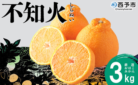 [おはこやがつくる おはこデコ(不知火)約3kg(L〜3Lサイズ)] 果物 フルーツ 柑橘 しらぬい みかん 特産品 西宇和 愛媛県 西予市[常温]『2025年2月上旬から2月下旬迄に順次出荷予定』MOK0002