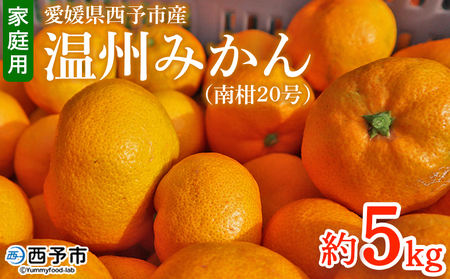 [愛媛県西予市産 温州みかん(南柑20号)家庭用 約5kg] 果物 くだもの ミカン 蜜柑 柑橘 フルーツ 訳あり ワケアリ サイズ不揃い キズあり 食べて応援 特産品 段畑みかん 愛媛県 西予市[常温]『2025年11月中旬〜12月中旬迄に順次出荷予定』ADM0017