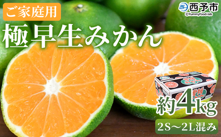 [極早生みかん ご家庭用 約4kg] ご家庭用 果物 フルーツ みかん ミカン 蜜柑 オレンジ 柑橘 食べて応援 特産品 宇都宮物産 愛媛県 西予市 [常温]『2025年9月下旬〜10月中旬迄に順次出荷予定』UUB0040