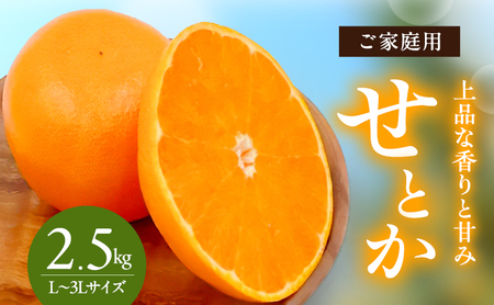 せとか L〜3Lサイズ 2.5kg ご家庭用