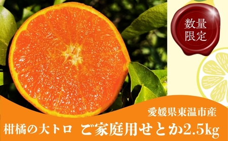 せとか2.5kg ご家庭用 サイズお任せ 今が旬 農園直送 みかん 人気 数量限定 先行予約 柑橘 蜜柑 ミカン 愛媛みかん かんきつ 国産 愛媛県 産地直送 フルーツ 果物 くだもの 甘い 2.5キロ箱 大粒 果実 瀨戸香