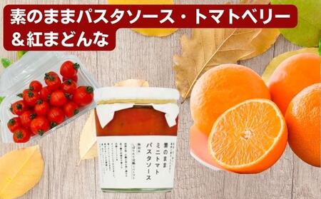 「栗林農園」素のままパスタソースとトマトベリーと紅まどんなのセット