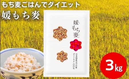 媛もち麥1kg3袋セット／もち麦 麦ごはん 雑穀 食物繊維豊富 食物繊維 もちもち プリプリ 食感 食品 食べ物 ご飯 おにぎり お弁当 主食 毎日 炭水化物 国産 日本産 愛媛県産 東温市産 直送 産地直送 