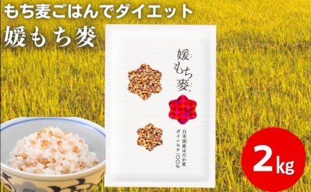 媛もち麥1kg2袋セット／もち麦 麦ごはん 雑穀 食物繊維豊富 食物繊維 もちもち プリプリ 食感 食品 食べ物 ご飯 おにぎり お弁当 主食 毎日 炭水化物 国産 日本産 愛媛県産 東温市産 直送 産地直送 