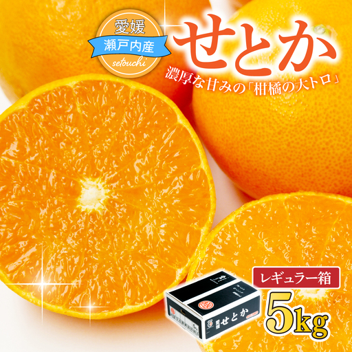 [先行受付]せとか 5kg レギュラー箱 みかん 柑橘