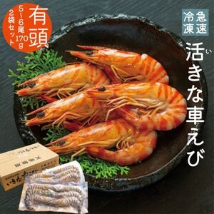 急速冷凍活きな車えび【有頭5～6尾(約170g)×2袋セット】【配送不可地域：離島】【1576828】