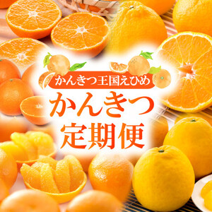 [発送月固定定期便]2025年11月発送開始 えひめかんきつ定期便 全6回[配送不可地域:離島]