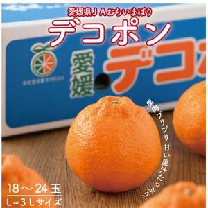 ys\z˓̃fR| 5kg 3L`L@18ʁ`24ʁ@JAIʕi@㓇EY@y1643861z