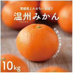 ys\z˓̉B݂10kg@L`S@JAIʕiy1644274z