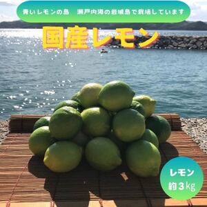 ys\11`z̓@O[3kgy1651150z