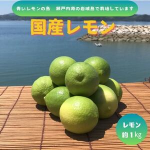 ys\11`z̓@O[1kgy1651130z