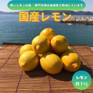 ys\2026N1`z̓@Y(CG[)1kgy1651410z
