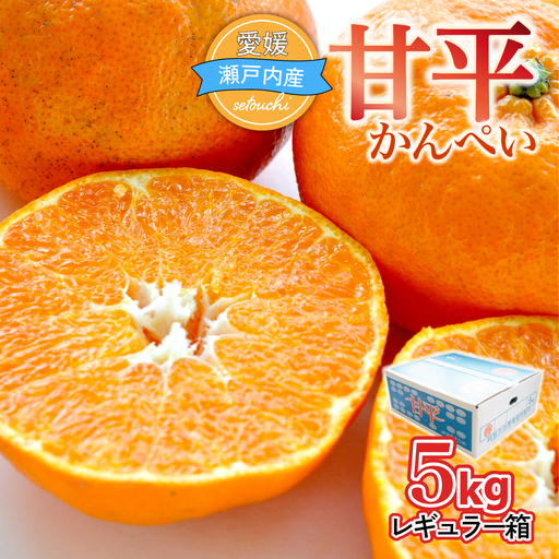 [先行受付]人気柑橘 甘平(かんぺい)レギュラー箱 5kg 愛媛県 JAおちいまばり