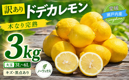 訳あり ブルーレモンファームの太陽をたっぷり浴びたドデカレモン 木なり完熟レモン 3kg
