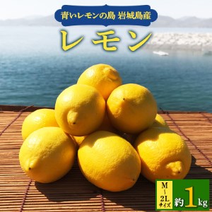 青いレモンの島　レモン約1kg【お試しセット】【1287524】