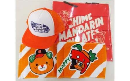 [愛媛県共通返礼品]愛媛マンダリンパイレーツ応援3点セット