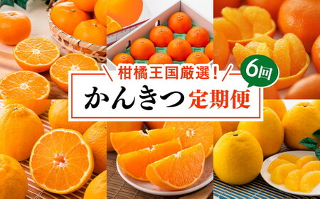 [定期便][愛媛県共通返礼品]愛媛のかんきつ定期便(全6回)(日の丸みかん・紅まどんな・伊予柑・不知火・せとか・河内晩柑) 