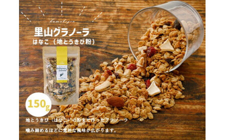 グラノーラ「はなこのグラノーラ(150g×1袋)」