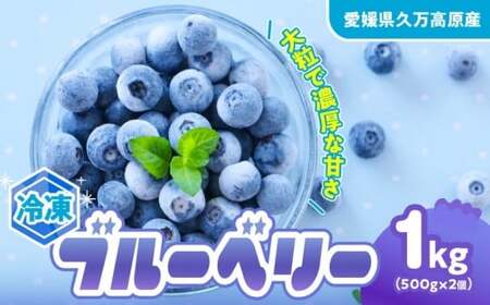 [先行予約]冷凍 ブルーベリー 大粒 1kg (500g×2パック) 5種類ミックス 