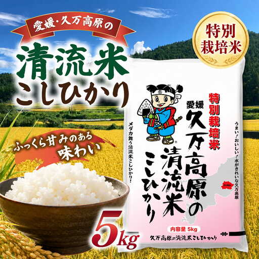[R8年産]新米 久万高原町 清流米 こしひかり 5kg|特別栽培米 減農薬 減化学肥料 コシヒカリ 白米 愛媛県産 米 ※2026年9月〜発送