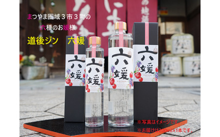 道後ジン 六媛 200ml 