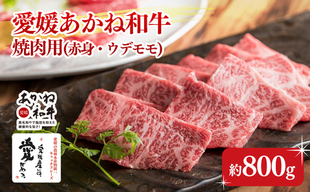 愛媛あかね和牛 焼肉用 赤身ウデモモ(約800g) | 国産 和牛 牛肉 ブランド牛 ステーキ 焼肉 冷蔵 愛媛県 松前町 [SZS001_x]牛肉