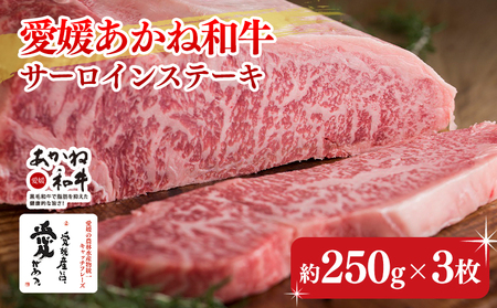 愛媛あかね和牛サーロインステーキ(約250g×3枚) | 国産 和牛 牛肉 ブランド牛 ステーキ 焼肉 冷蔵 愛媛県 松前町 [SZS004_x]