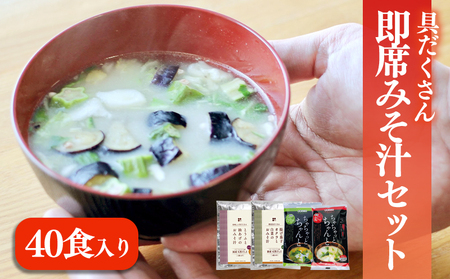 具だくさん即席みそ汁セット（40食入り） 【GNM005】