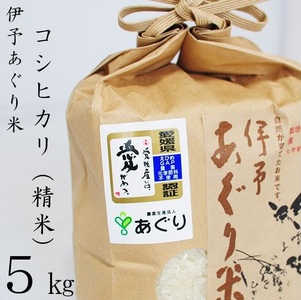 [新米]米 精米 5kg 伊予あぐり米「コシヒカリ」 令和6年産 農薬・化学肥料不使用 精米 令和6年産 お米 こめ 農薬・化学肥料不使用 こだわりのお 愛媛県 松前町 松前 まさき 愛媛 えひめ おこめ 有限会社あぐり 愛媛県産 松前町 美味しい おにぎり お米 贈答 贈り物 愛媛県 有限会社 [AGR0050_5R6_x]