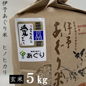 [新米]米 玄米 5kg 伊予あぐり米「ヒノヒカリ」 令和6年産 農薬・化学肥料不使用 玄米 令和6年産 お米 こめ 農薬・化学肥料不使用 こだわりのお 愛媛県 松前町 松前 まさき 愛媛 えひめ おこめ 有限会社あぐり 愛媛県産 松前町 美味しい お米 贈答 贈り物 愛媛県 有限会社 [AGR0020_5R6_x]