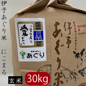   30kg ɗ\āuɂ܂v ߘa7NY  _Ew엿sgp   ߘa7NY    _Ew엿sgp ̂ Q O O ܂ Q Ђ 