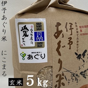 [新米]米 玄米 5kg 伊予あぐり米「にこまる」 令和6年産 農薬・化学肥料不使用 玄米 令和6年産 お米 こめ 農薬・化学肥料不使用 こだわりのお 愛媛県 松前町 松前 まさき 愛媛 えひめ おこめ 有限会社あぐり 愛媛県産 松前町 美味しい お米 贈答 贈り物 愛媛県 有限会社 [AGR0030_5R6_x]