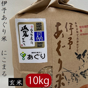   10kg ɗ\āuЂ߂ꣁv ߘa7NY  _Ew엿sgp   ߘa7NY    _Ew엿sgp ̂ Q O O ܂ Q Ђ 